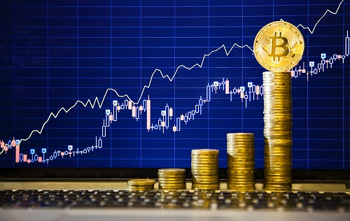 Hầu hết người sở hữu Bitcoin để đầu tư dài hạn